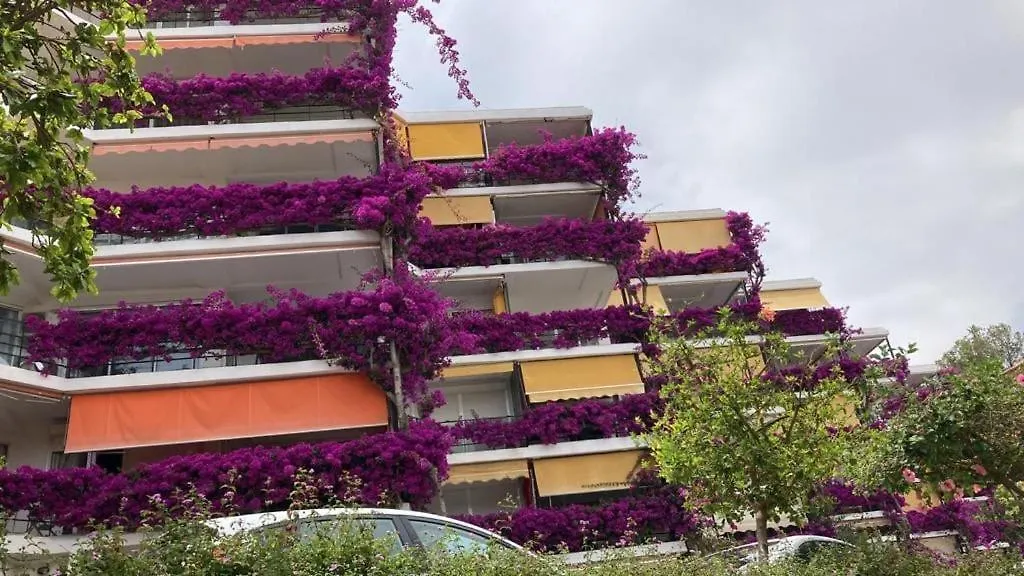 Marvelous Sea & Garden View, Near Carihuela Beach Torremolinos 0*,